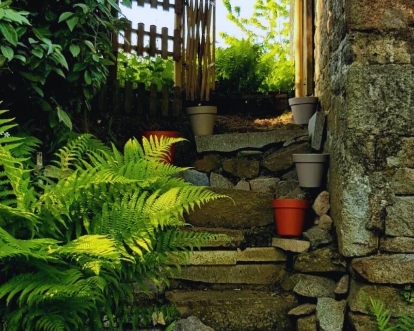 Maison En Pierre Au Milieu Du Bocage Coulouvray-Boisbenâtre Exterior foto